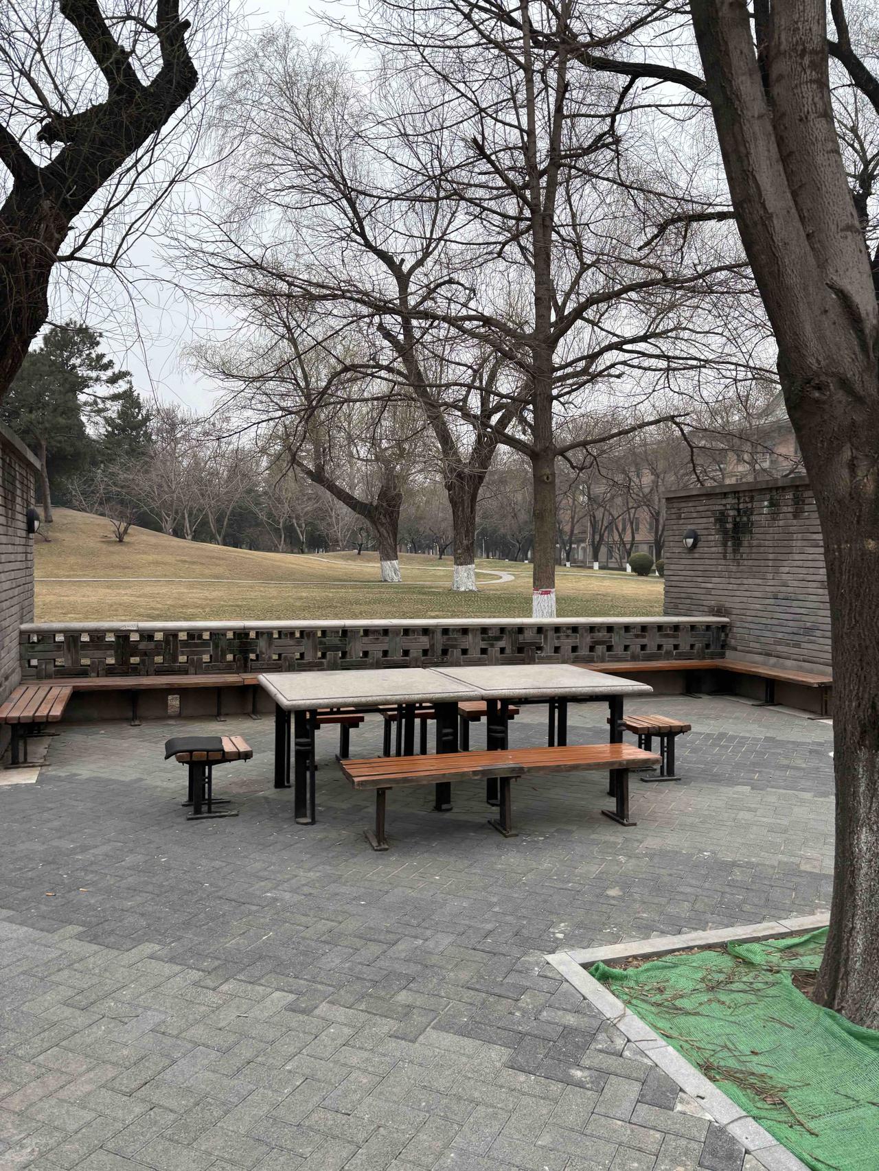 比较多的女教师最后悔的事情是没有嫁给男教师。一些女教师结婚多年之后才发现嫁给男