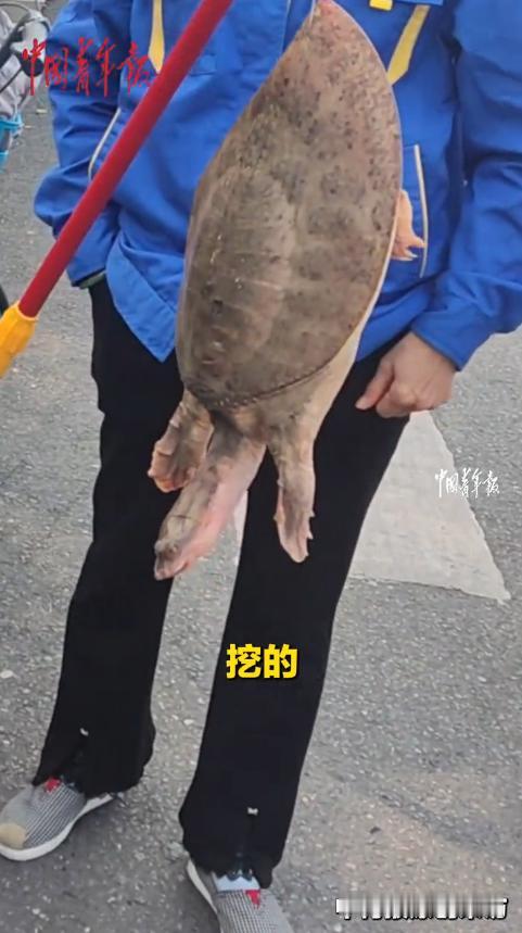 “太缺德了!”10月27日,江苏南京,一男子路过医院时,看到有大姐在不远处卖“甲