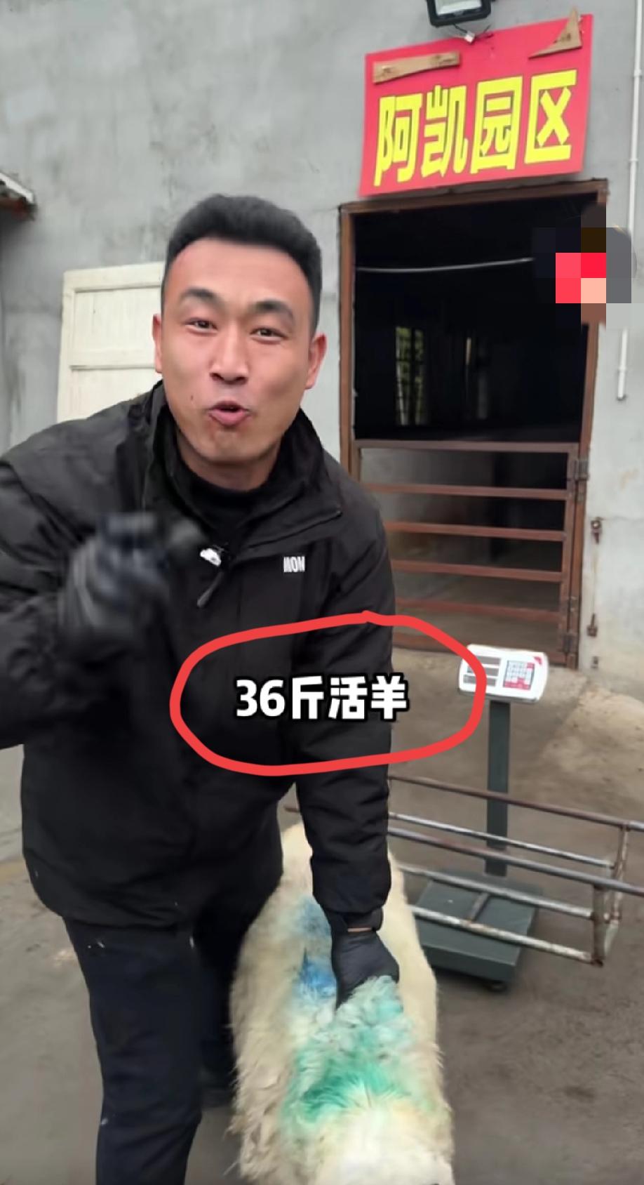 近日，“重庆36斤活羊烤完之后只剩下6.9斤”这个事情在网上闹的沸沸扬扬。有好事