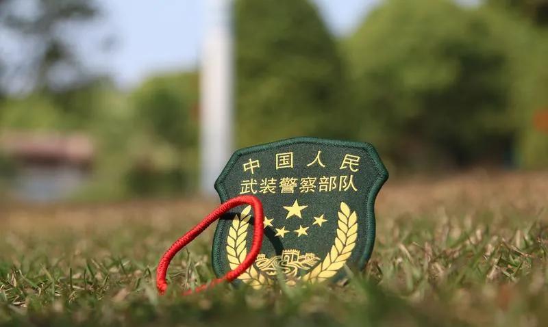 1955年的授衔是对这些军人功绩的一种认可。像旋风纵队第40军的授衔，代军长邓岳