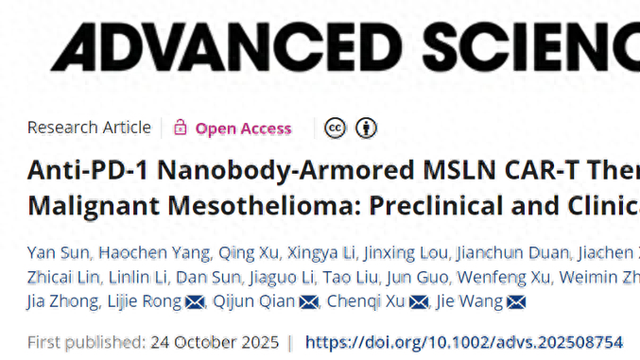 全球首创“装甲CAR-T”亮相! 我国科研团队攻克实体瘤治疗瓶颈