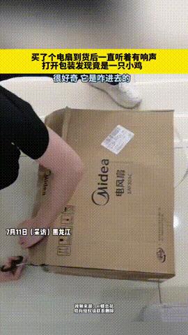 “意不意外？惊不惊喜？”黑龙江，女子网购一台电风扇，结果到货以后听到包装箱里有奇