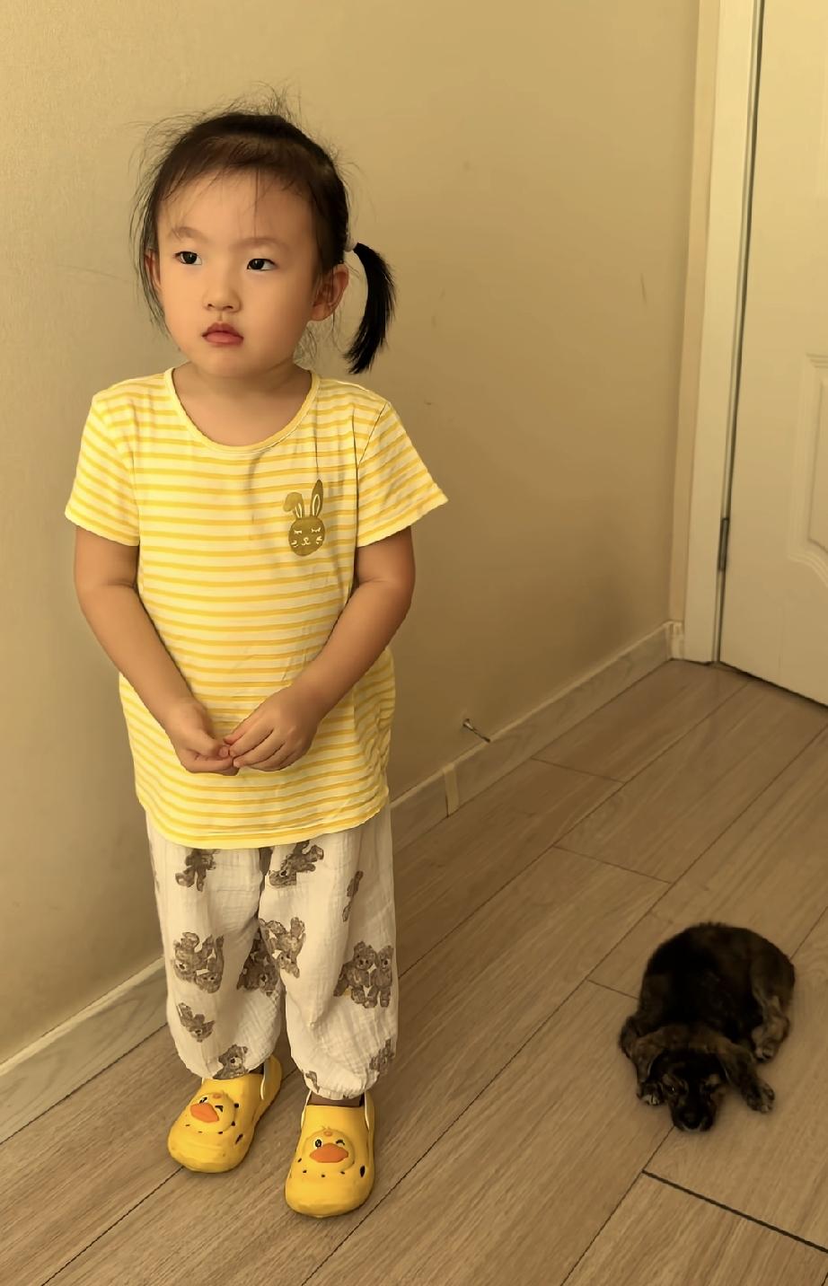 闪闪今天受批评了！姥姥说：闪闪，你为什么又捡回来一只狗？闪闪姥姥今天有点毫不留