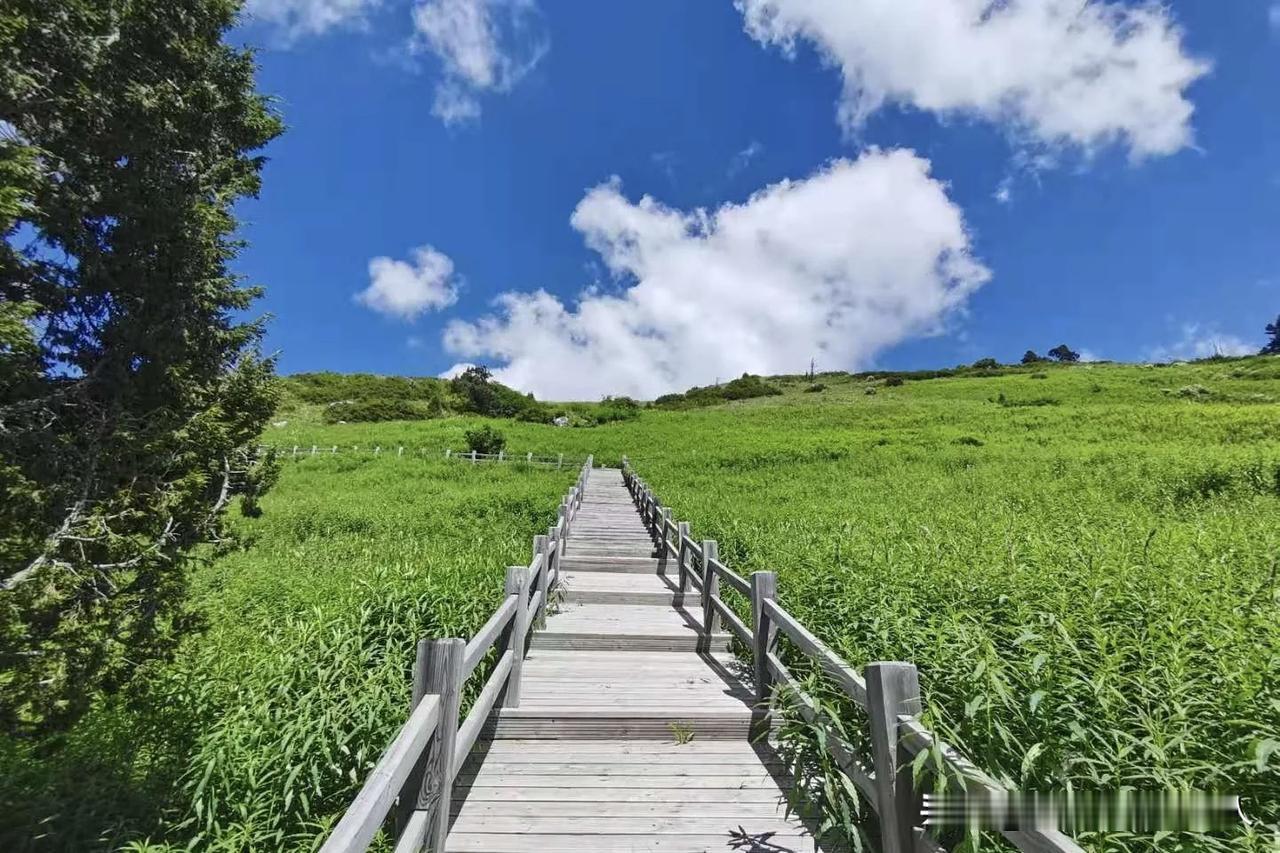 没有去雷古山，没有去泽荡措。你只玩了官鹅沟一半的风景。沿着沟谷往深处走，青石板路