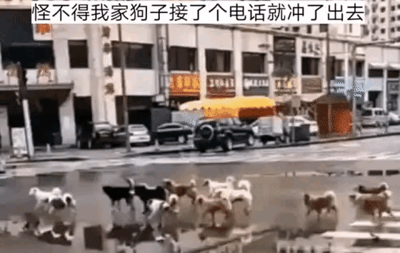 你没看错，这是混社会的狗子们的火拼时刻