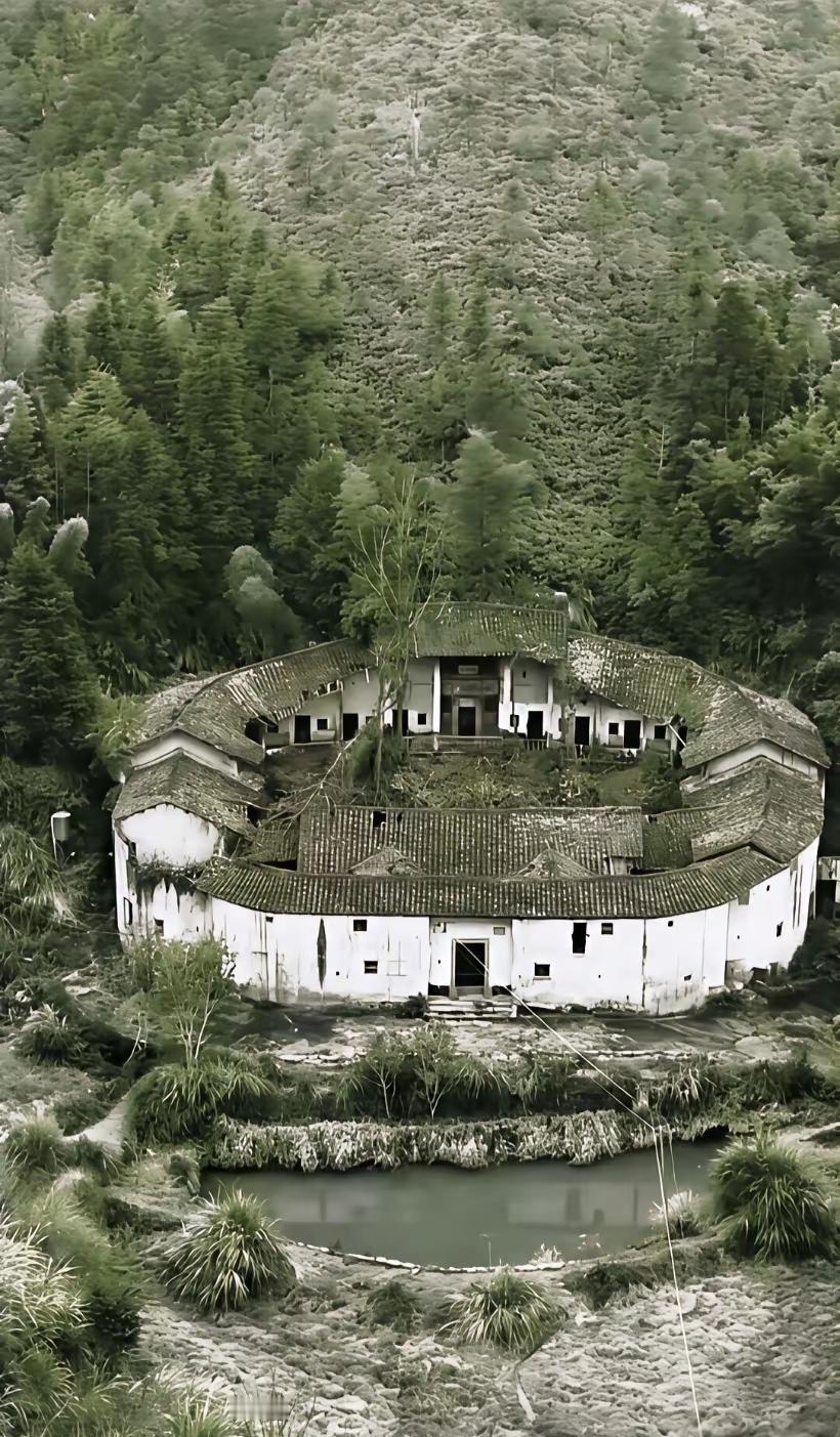 友友们，一天给你两千块，住上三年你愿意不？