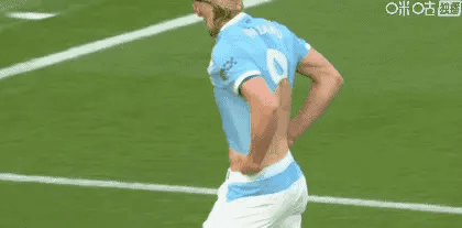 这还是我看的英超吗！这哈兰德的小背心！[doge]