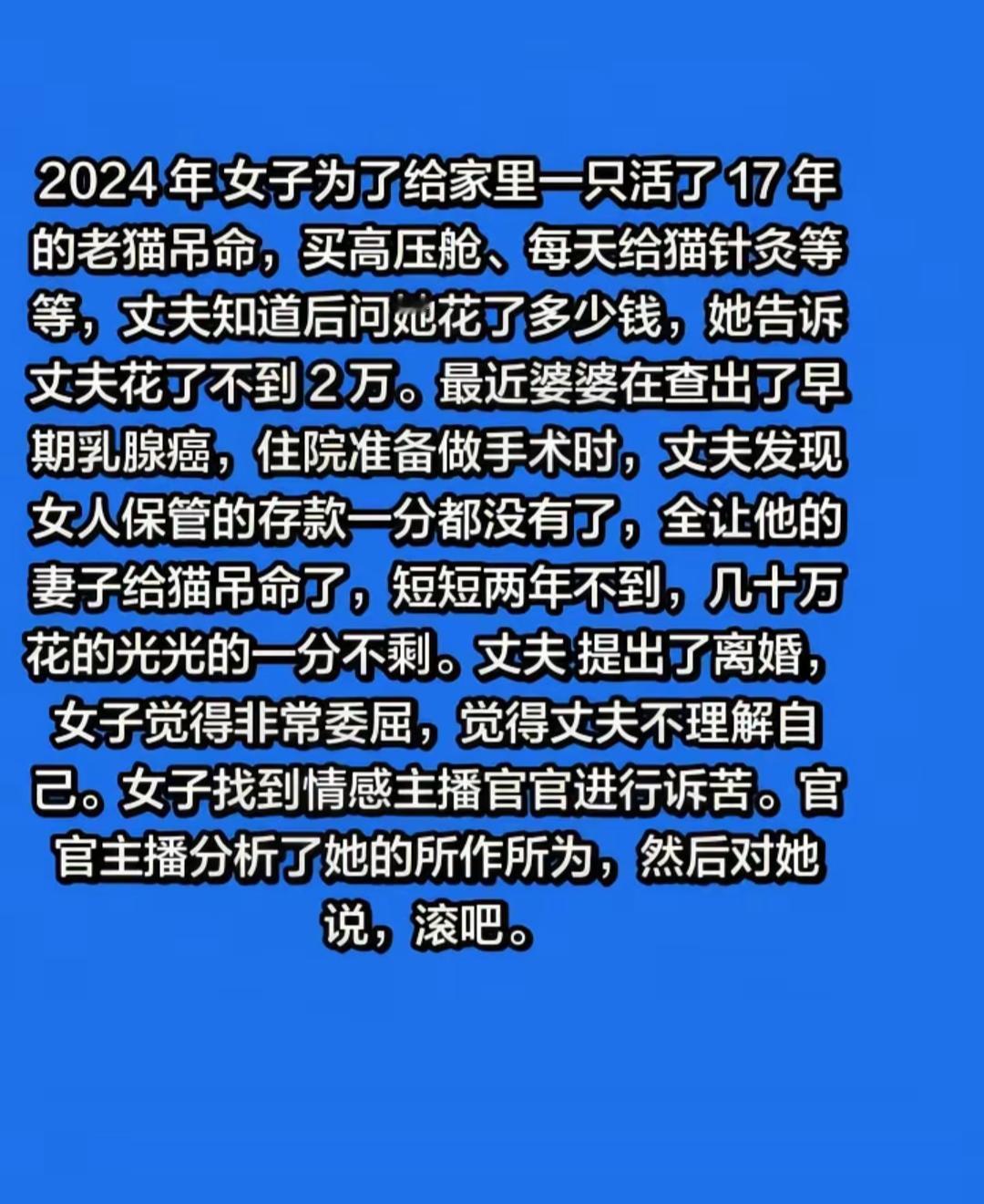 女子为猫花光积蓄，丈夫提出离婚