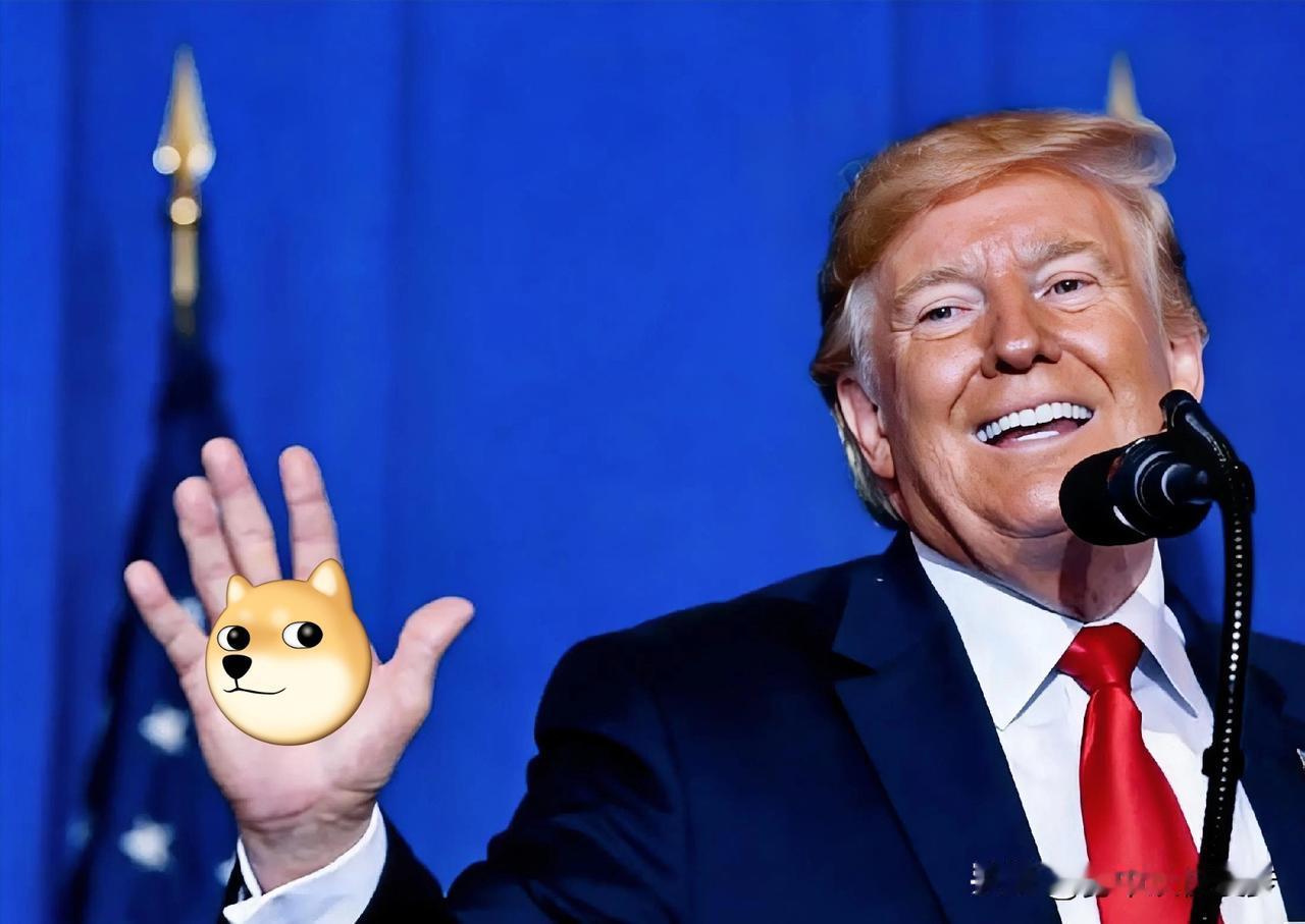 2025年12月31日，美国干了件匪夷所思的事！一边喊着要卡死中国芯片产业，一边