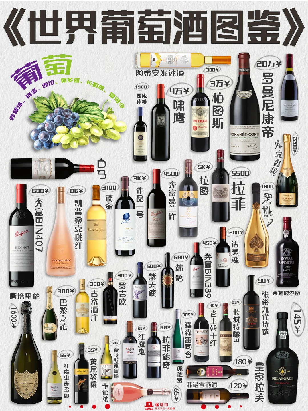 《世界葡萄酒图鉴》✅一篇超全的葡萄酒介绍