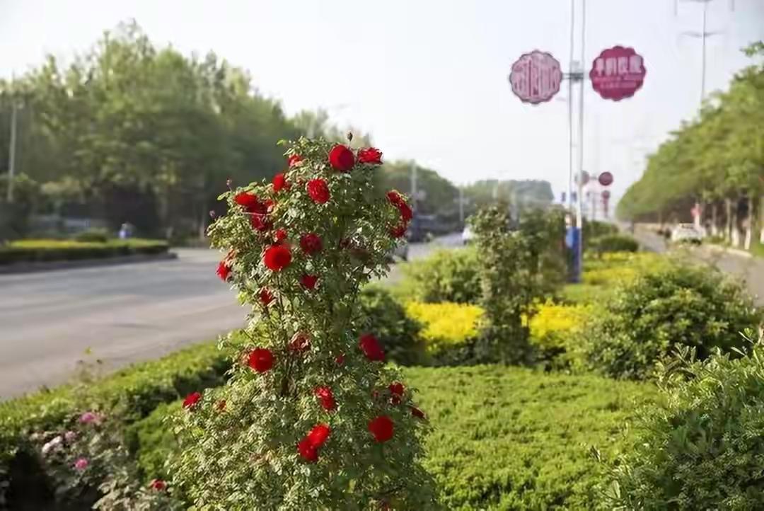 上海高架桥下，一个法国人仰头举着手机，拍了整整五分钟。他说在巴黎，这种景象只