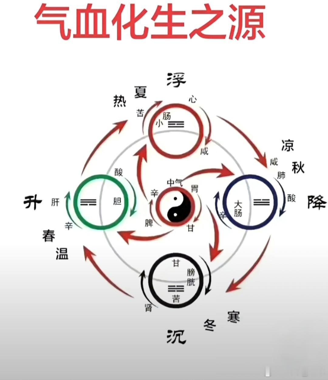 圆运动一气周流用药大法！气机运行模式与四维之病 人体内部气机的运行模式  人