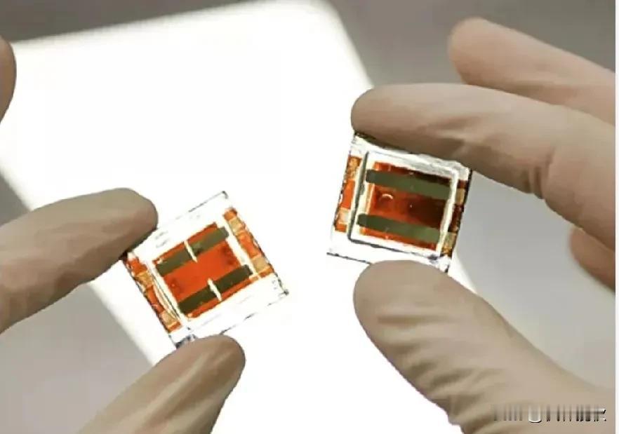 就在刚刚，半导体行业发生一件大事！荷兰这次马前卒摔的不轻！荷兰暂停对我国安世