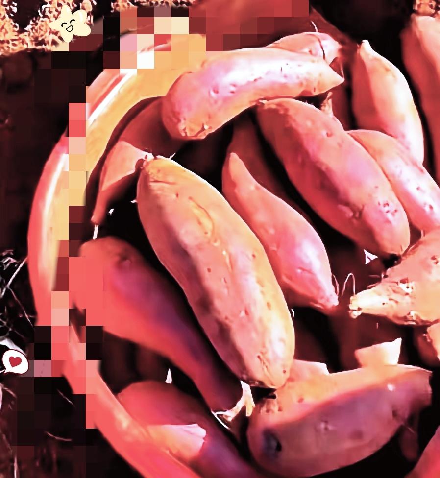 不得不说，云南建水红薯烂地这事儿，笑着笑着就让人后背发凉！薯农为省三分之二药