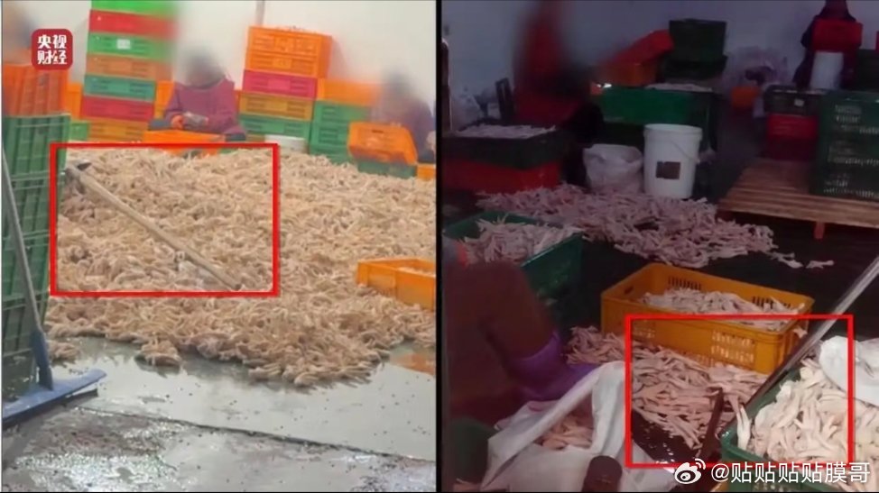 爱吃鸡爪的女孩男孩倒了霉了