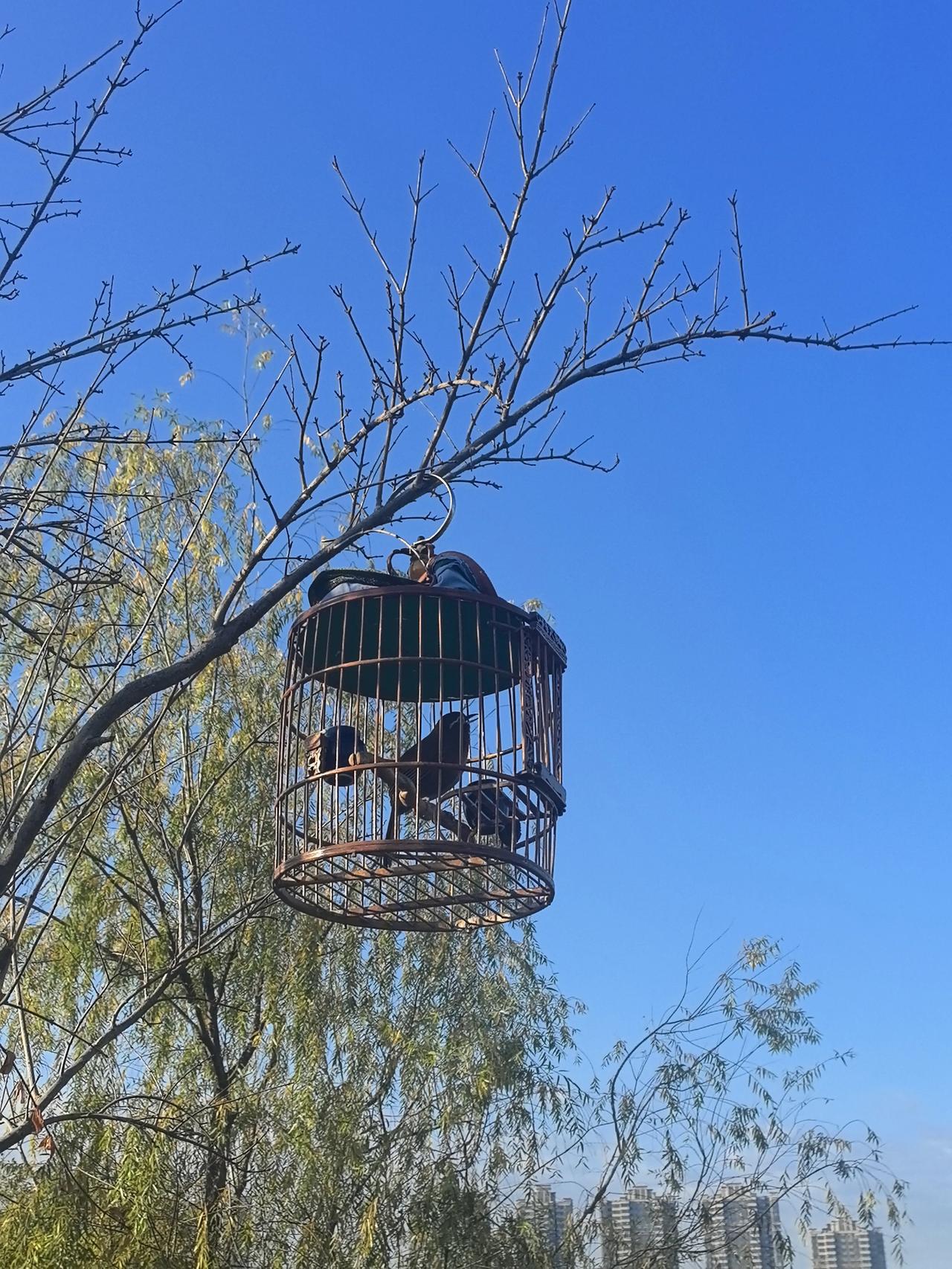 2026年，工资，决定我对待工作的态度：1、月薪1800-不认识老板