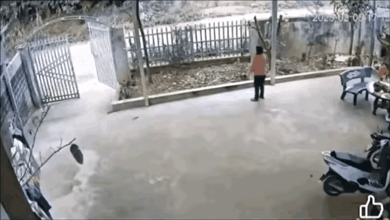 难怪都说女人是头发长见识短，野猪进院，她转身就跑。你说你跑啥？如果是换了我，把院