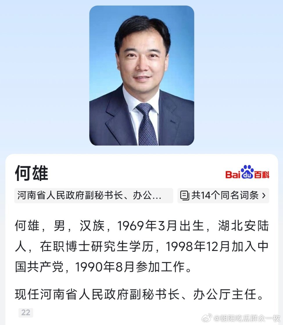 何雄任河南省人民政府副秘书长、办公厅主任。