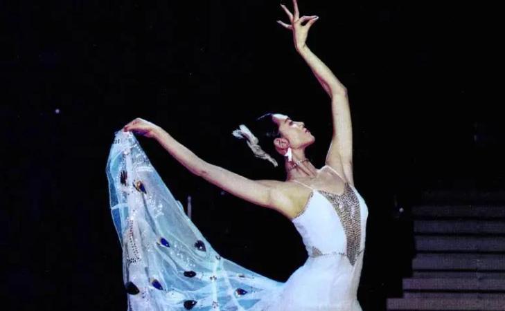 和杨丽萍离婚20年，富豪前夫突然回心转意，只要是你没孩子也行！🤫舞蹈艺术