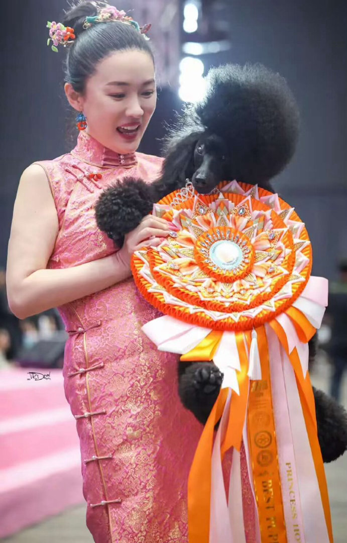 霍思燕给70岁婆婆庆生，买的是5000元的蛋糕，婆婆出镜优雅年轻！