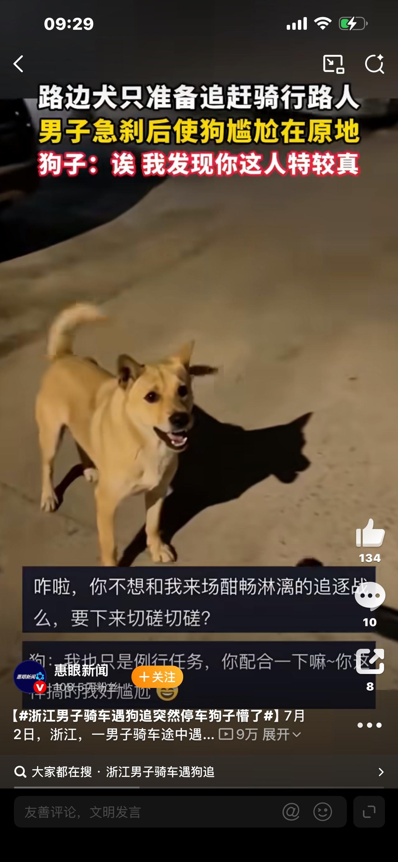 标题：男子骑车被狗追赶，猛地刹车停下，狗狗当场直接愣住正在骑车赶路，身后突然窜