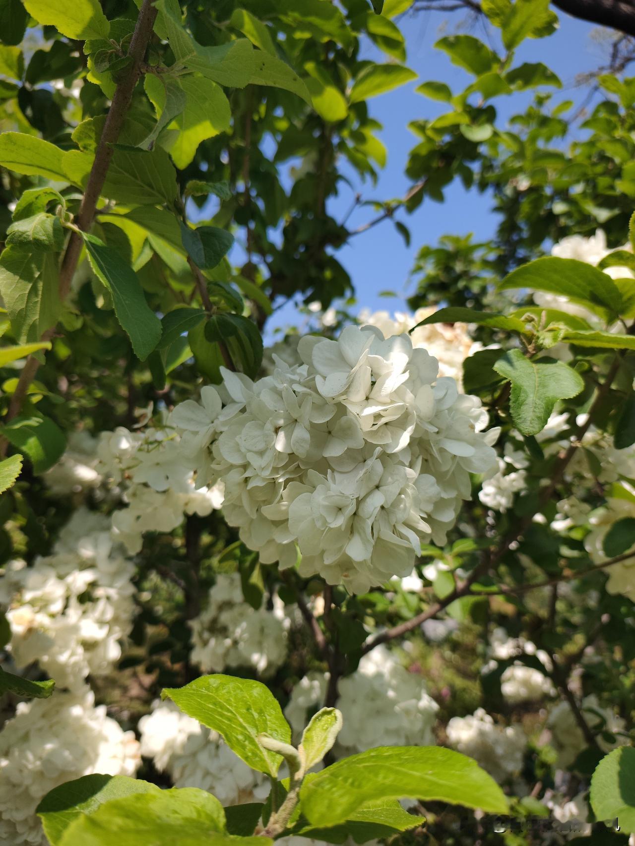 临近退休的时光，有些煎熬，有些茫然，还带着些许烦躁。但细细思量，这并非矫情，而是