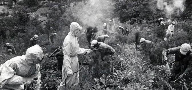 1959年，生物学家范滋德的妻子听说丈夫外面有收入，顿时起了疑心，为何她一分都没