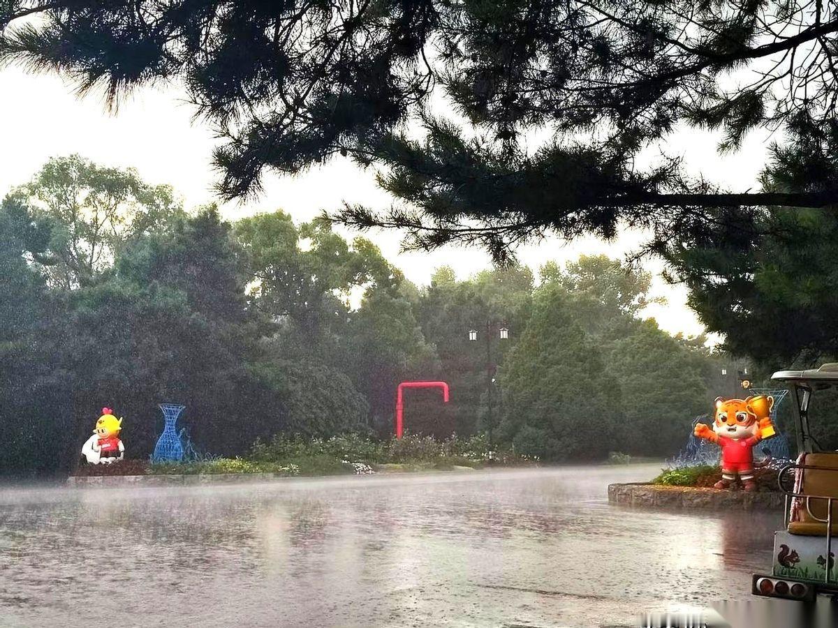下午四点，玻璃上那一声脆响，直接把我刚燃起的希望砸了个稀巴烂。沈阳这天，到底有