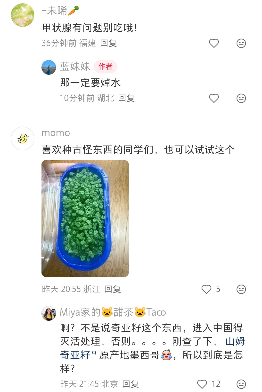 羽衣甘蓝竟然这么好种啊，留着梗就可以一直长，几天就能收割一次。唯一缺点就是虫子多