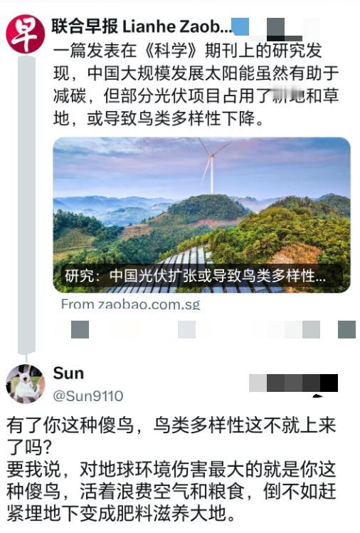 新加坡媒体批评中国新能源，称这会导致鸟类消失，却遭到中方网友神回复！新加坡《