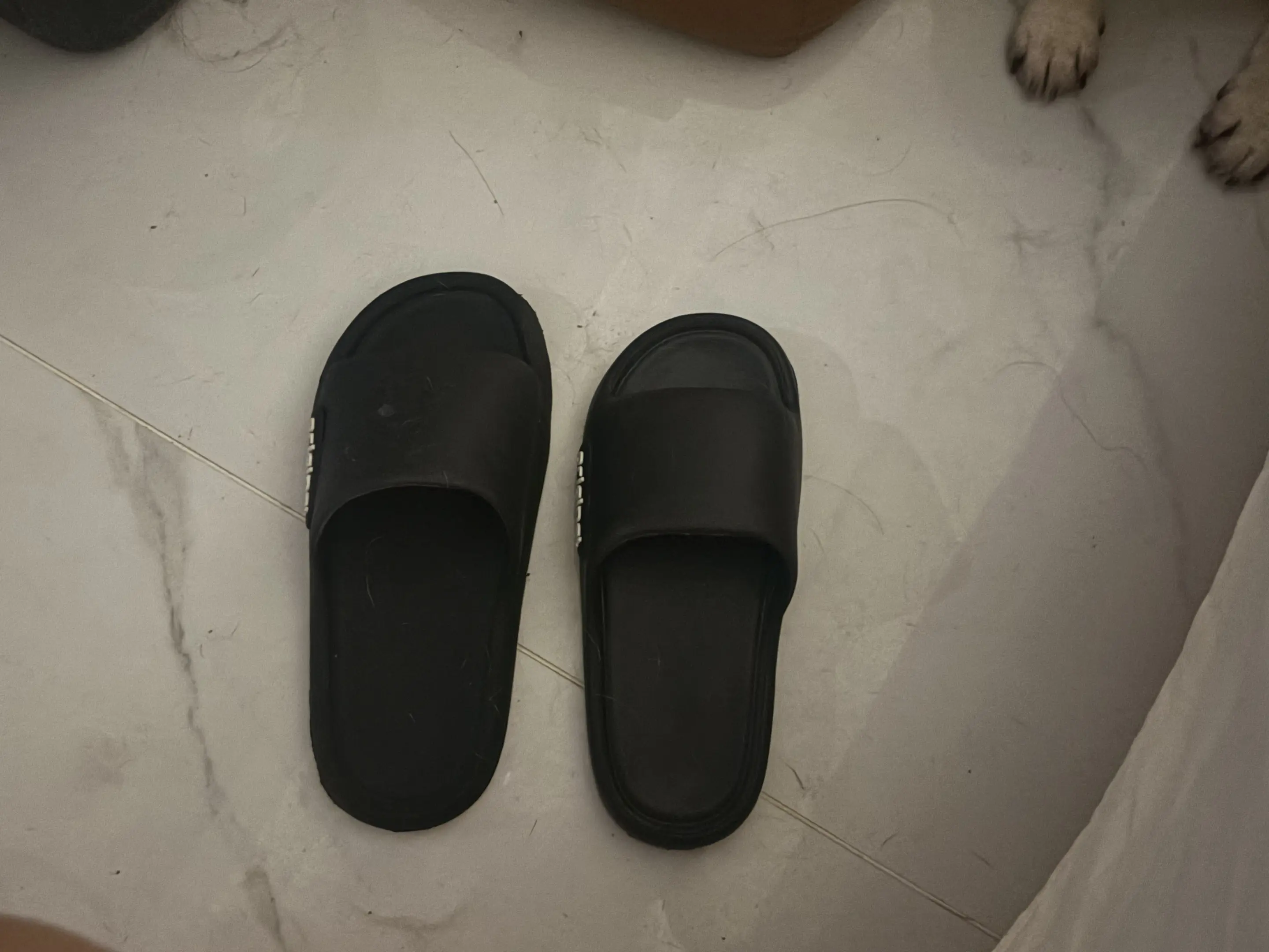另一个时空的我 你是不是少了一个左脚的拖鞋  能不能把我的右脚还给我……
