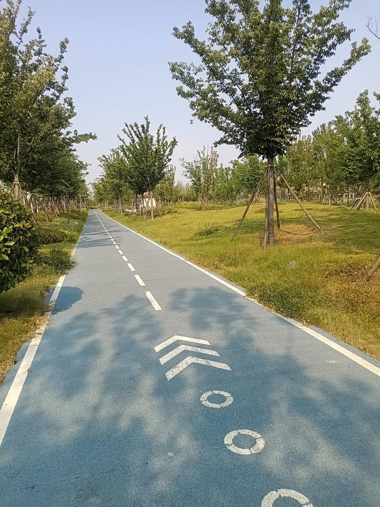 一位养生专家说：“有很坏很坏的人，他就是长寿，也有很好很好的人，他就是不长寿。很