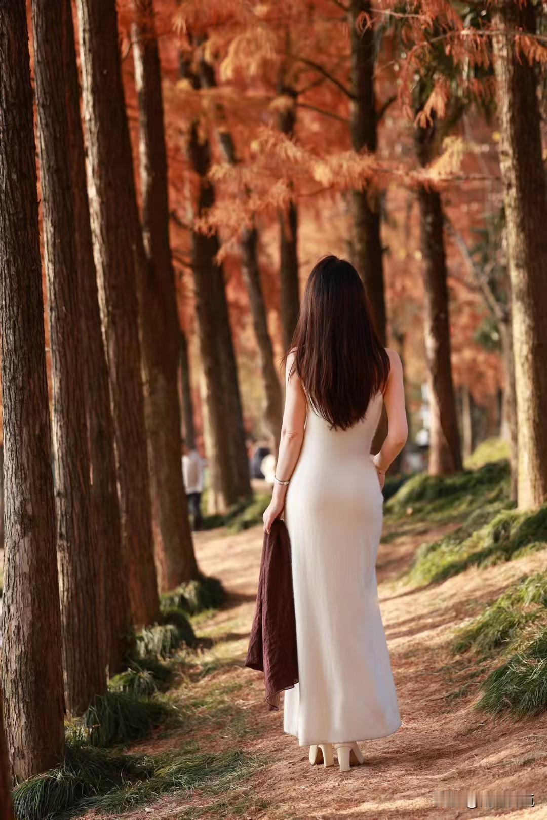 爱在深秋，枫叶为笺，月色为墨，把一笺相思轻轻寄到你窗前，风过处，都是我想你的呢喃