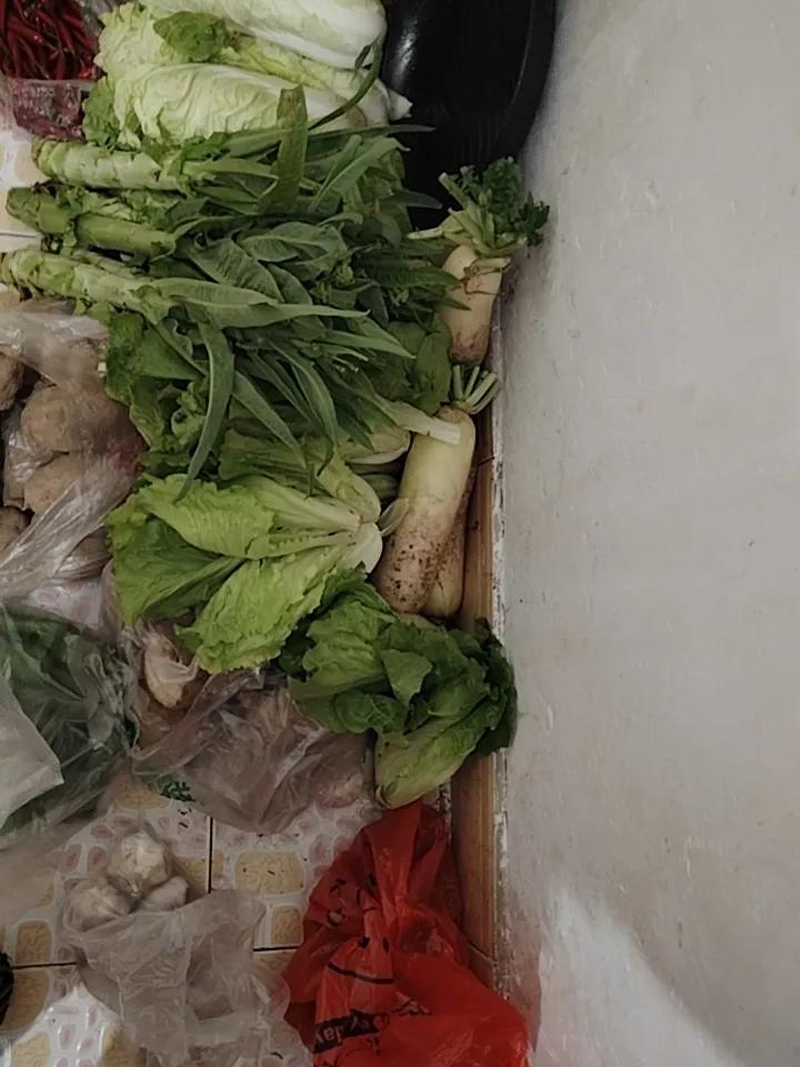 天啊，我做的醪糟竟让堂姐发慌。五天前给堂姐送去了刚出窝的醪糟4盒，交代吃不完放冰