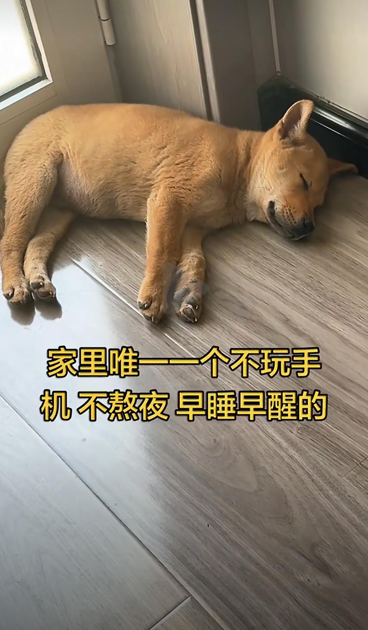 还真是这样。