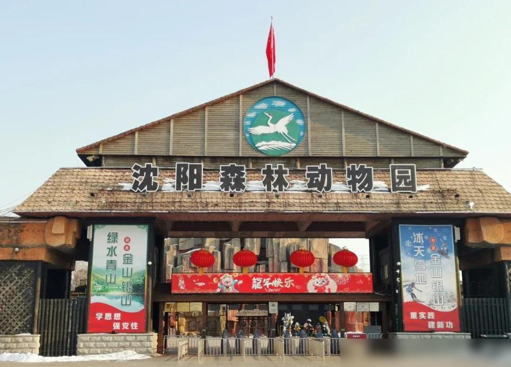 沈阳森林动物园要搬迁！一代人的棋盘山回忆要谢幕了✨说句实话，我小时候看东北虎