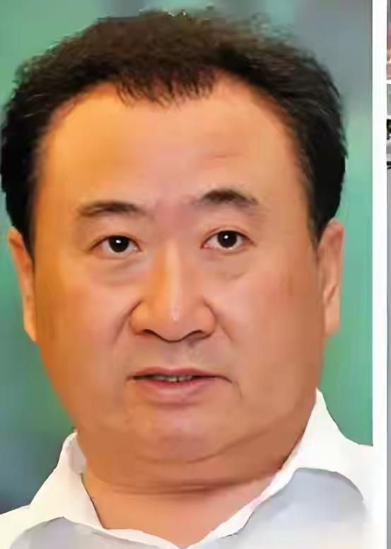 2025年9月，甘肃省兰州市中级人民法院对大连万达集团法定代表人王健林下发限制消