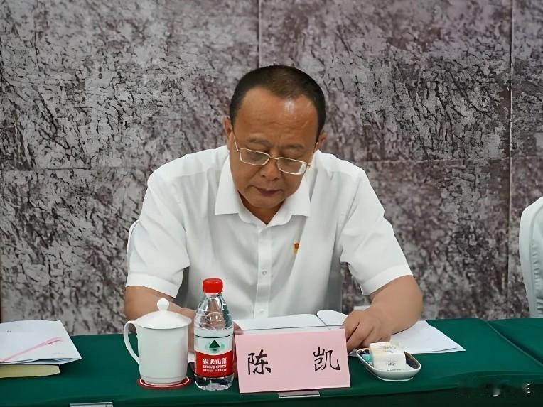 今天重庆合川的陈凯又上了热搜他长期在合川的国企、法律行业工作曾当过合川工业投