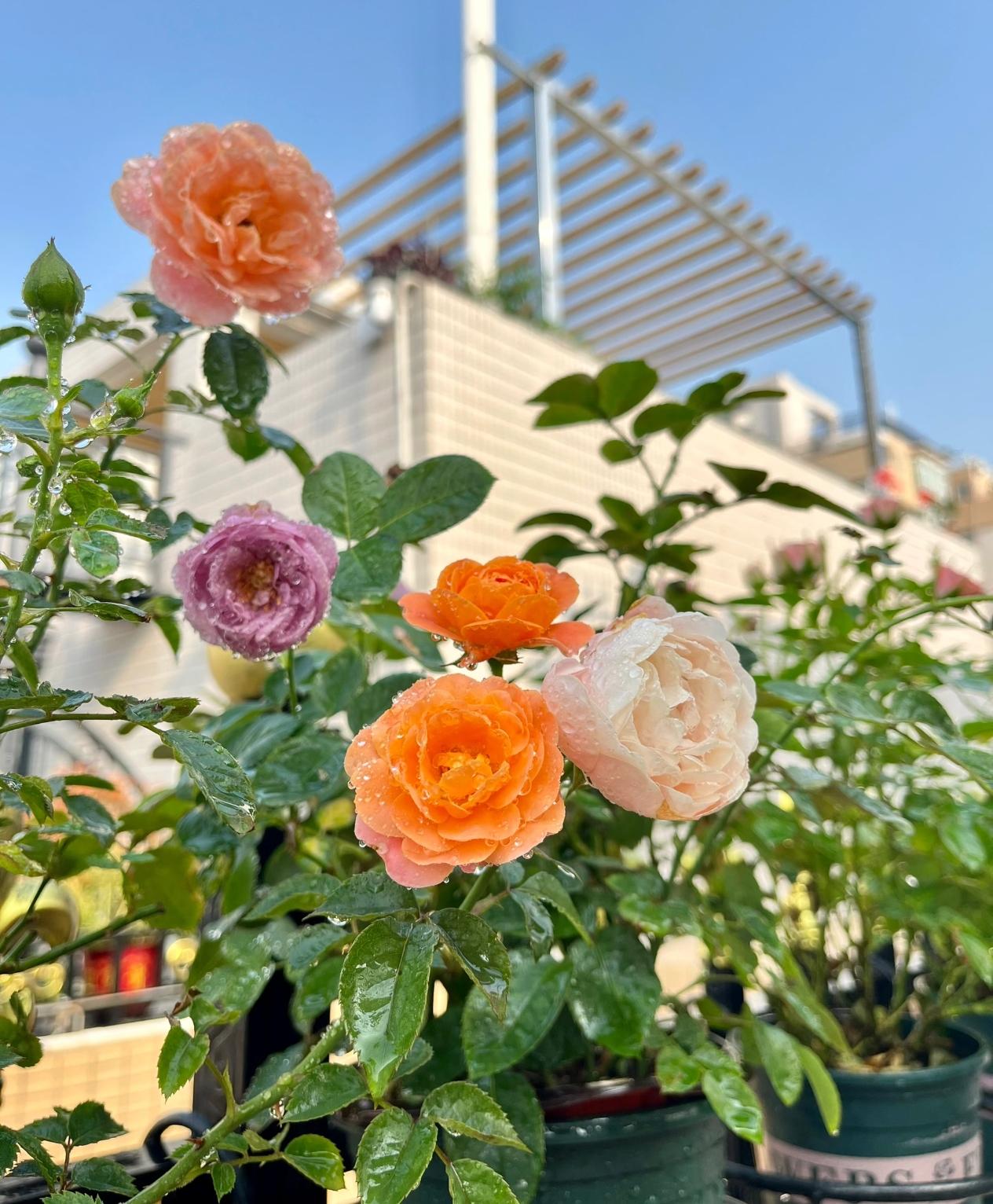 跟熟人发生关系后，该怎么收场？3个女人说出了真实经历……42岁的张桂兰