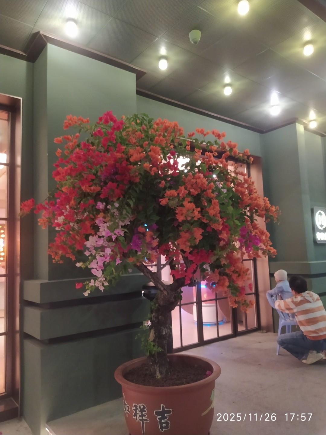 山水可以入画草木皆能成诗春暖花开之季没有什么比游山玩水更让人感兴趣！