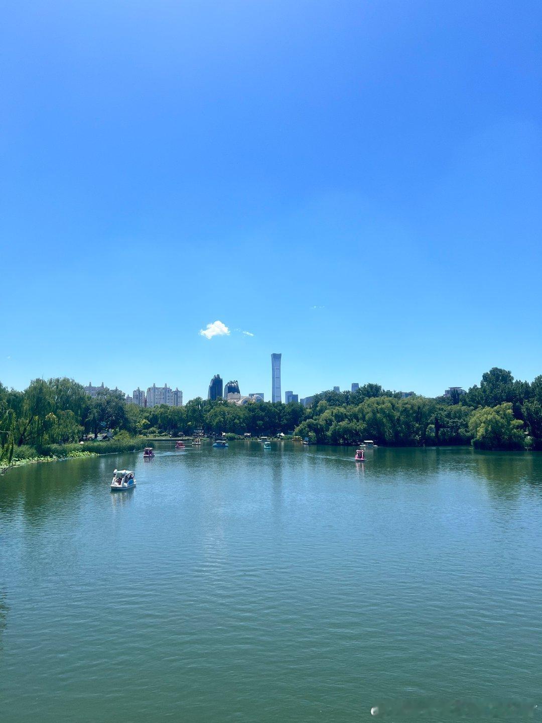今天天气太好了啊