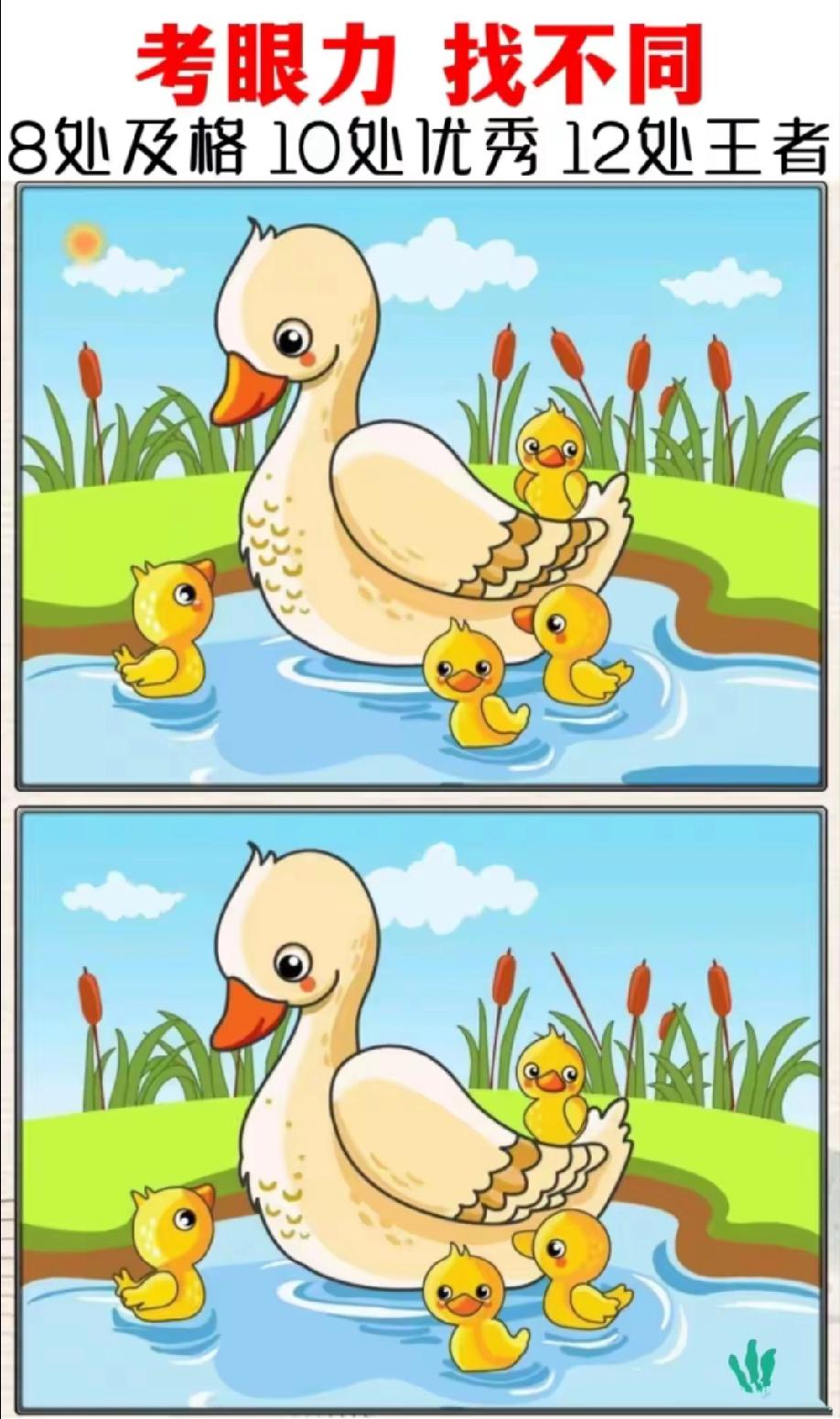 绝了！这鸭妈妈和小鸭的图藏了多少差异？我眼睛都看花了才找到4处，你现在找出几个了