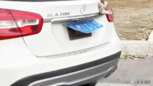 辽宁大连，蔡女士因生病疏忽，将车停在某批发市场门口左侧，三天未移动。交警虽曾致电