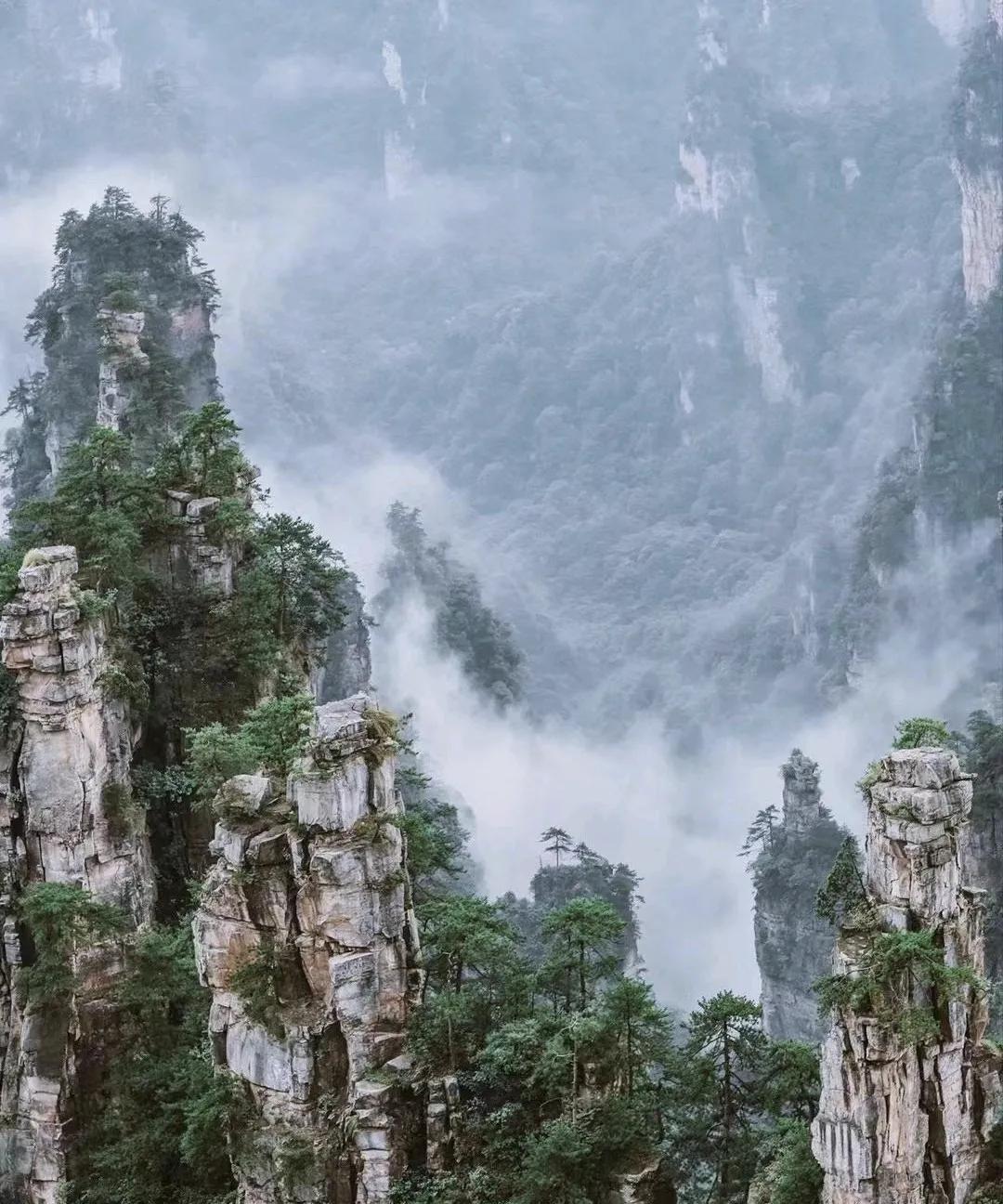 #中国的房地产长盛不衰能否保持#中国的房地产是国民经济的支柱产业！房地产土地出让