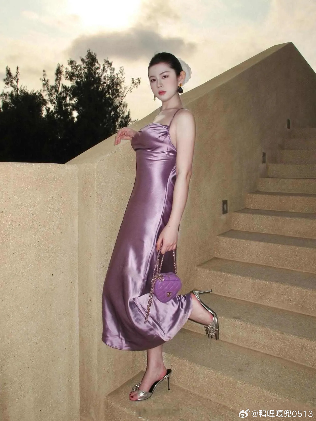 写真紫色在阳光下闪烁着宝石般的光芒