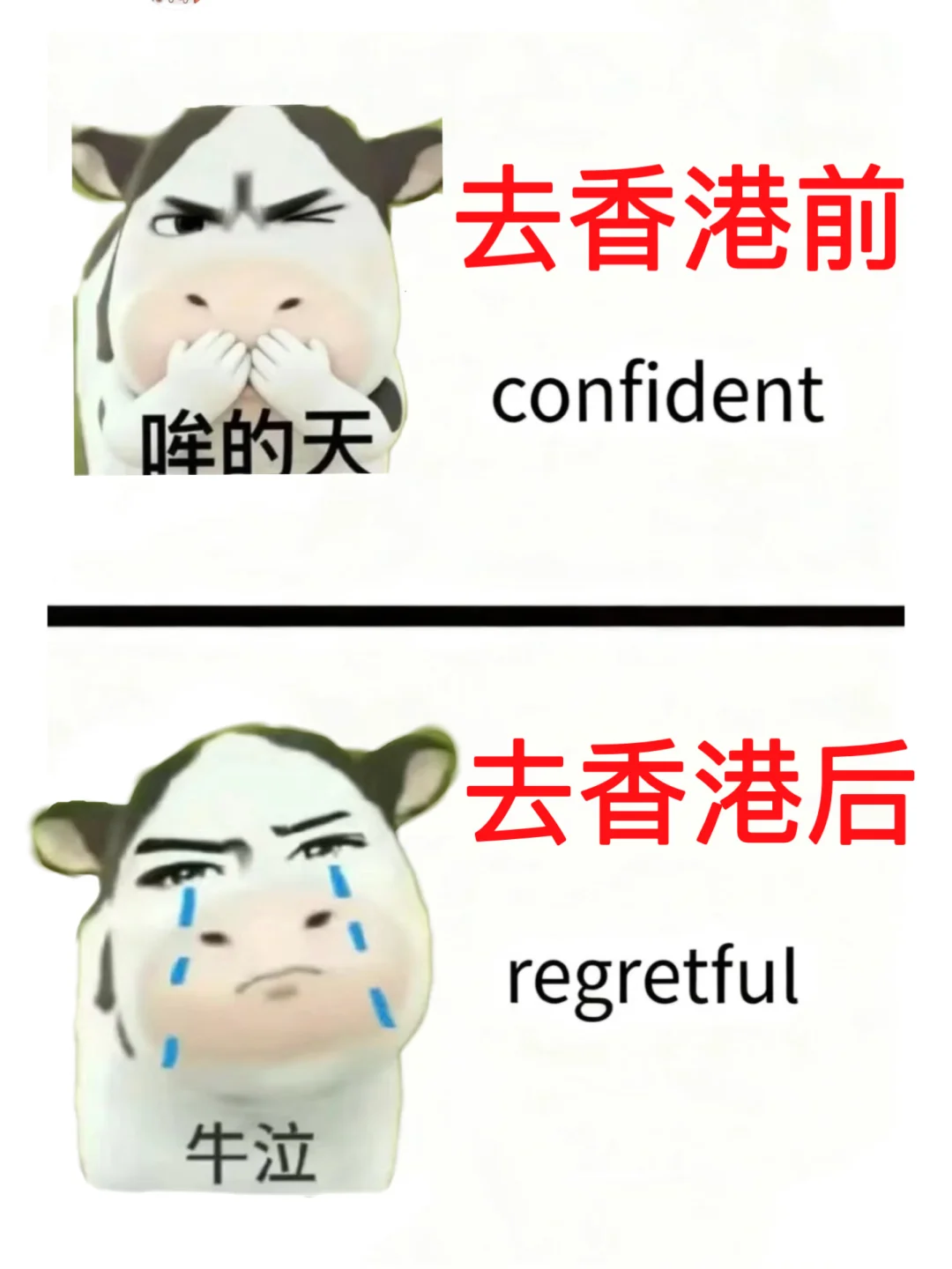 去香港之前🚩怎么没人告诉我这些啊😭😭