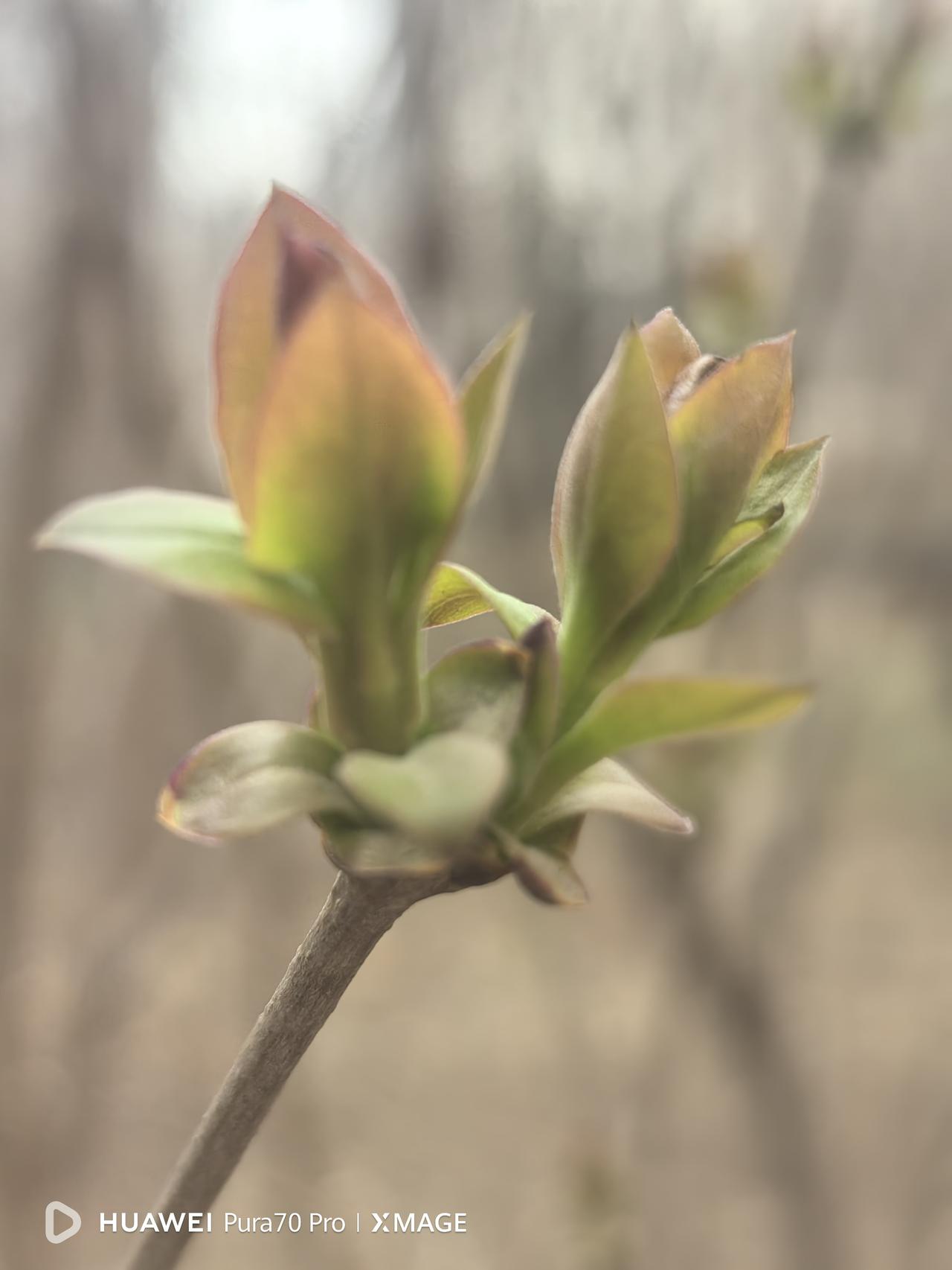 在小区附近的公园，遇到一位朋友，聊起了退休后的生活，她说退休后就得有个好身体。她