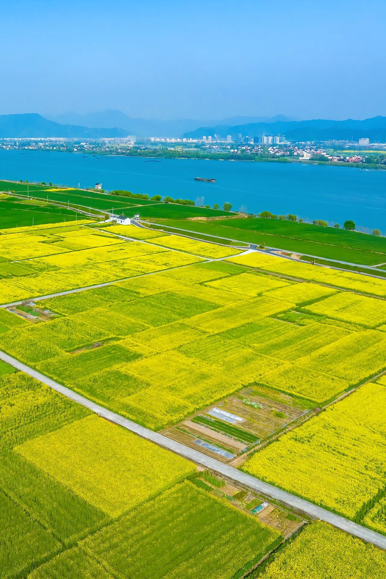 今天不太开心，为什么不太开心呢？不是因为一个老师把学生上跑了，而是因为以为遇到了