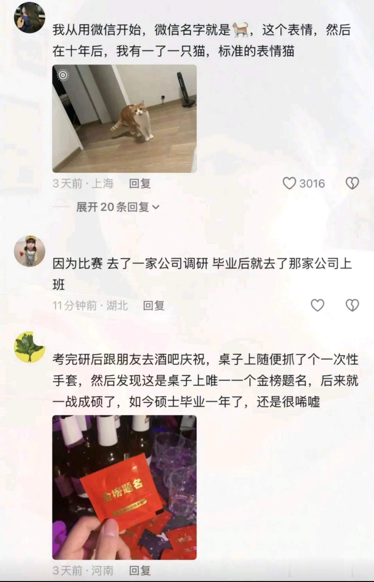 机关算尽不如命运轻描一笔​​​