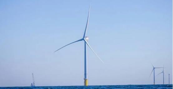 特朗普为什么恨透了风力发电？ 说实话，特朗普对风力发电的敌意，已经夸张到让人